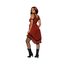 Saloon Siren Women's Costume