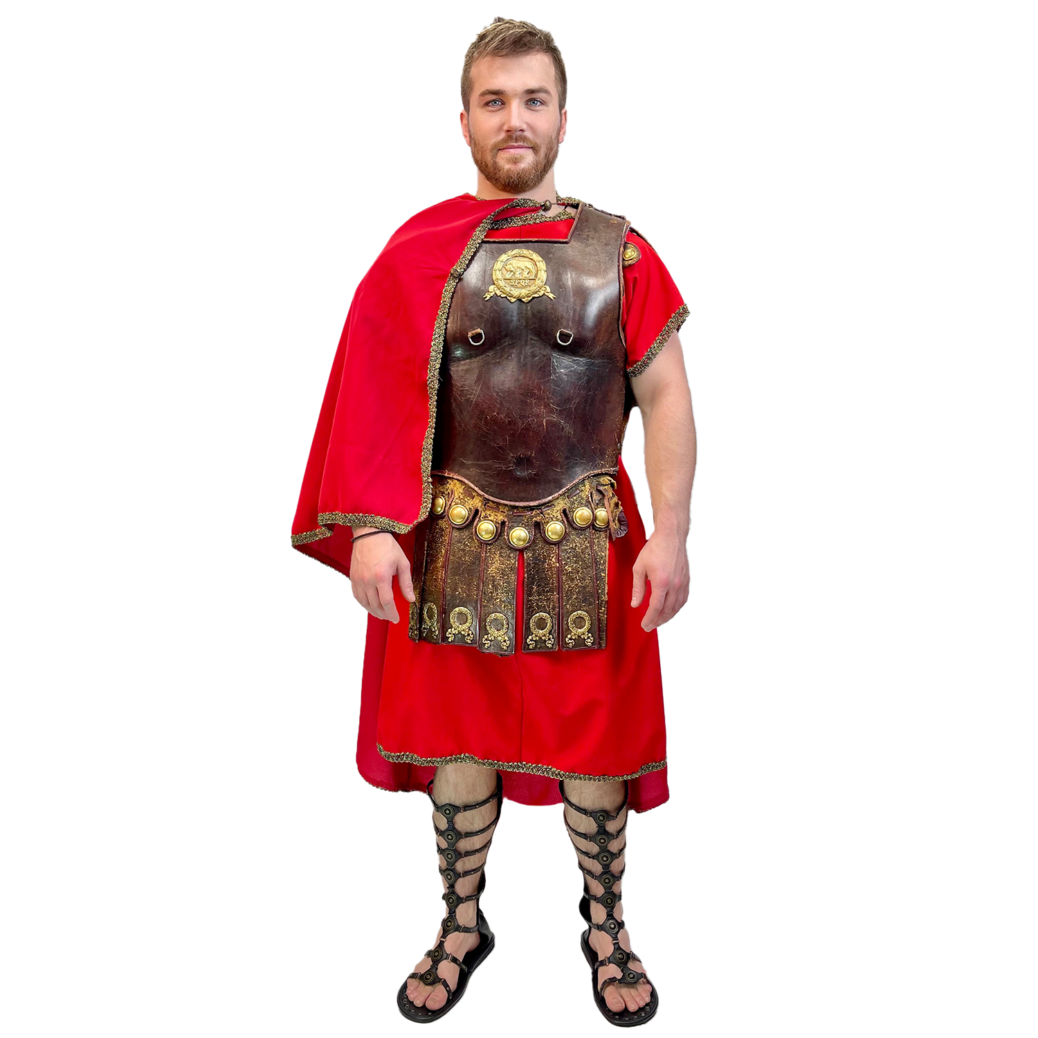 Bear Gladiator Premium Adult Theater Quality Costume