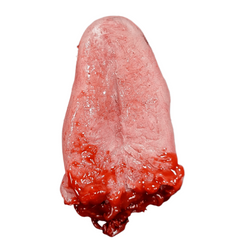 Severed Human Tongue Prop