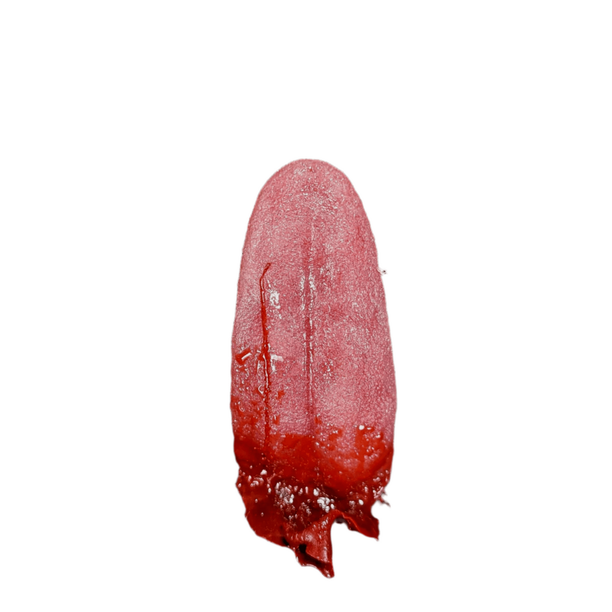 Severed Human Tongue Prop