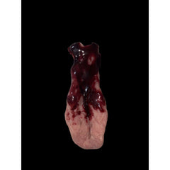 Severed Zombie Tongue Prop