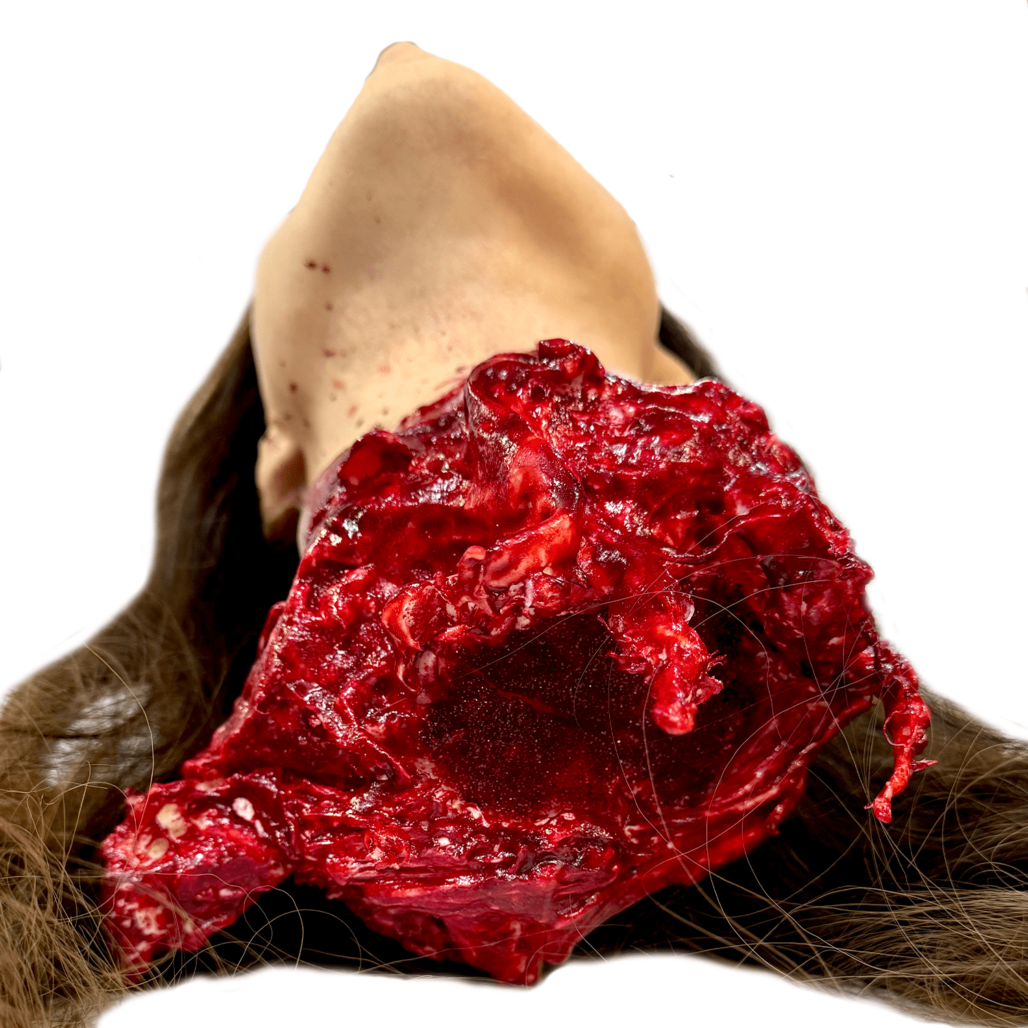 Shannon Severed Head Foam Prop