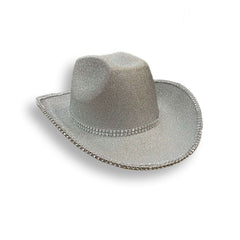 Shimmery Swift Cowboy Hat