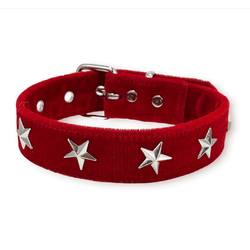 Star Studded Velvet Choker