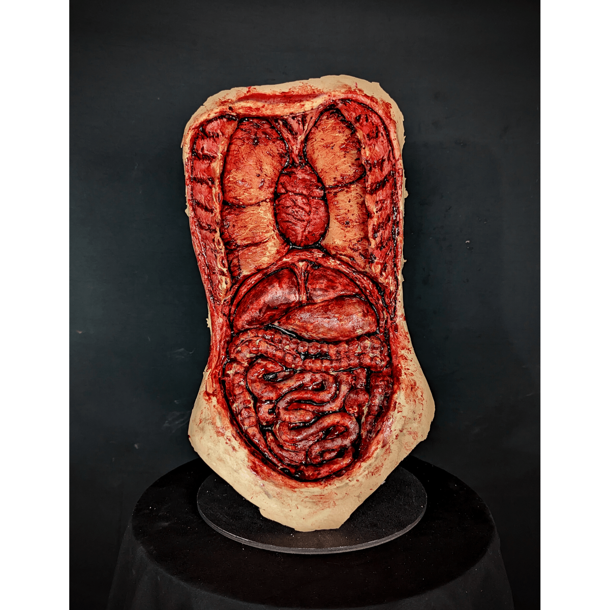 Torso Autopsy Realistic Prop