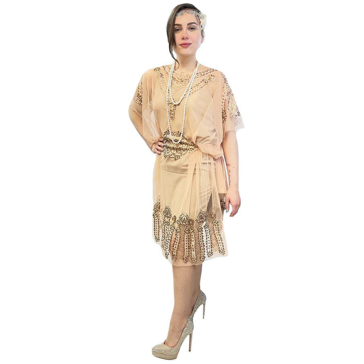 Ultimate 1920s Sheer Pale Pink Sequin Flapper Dress Adult Costume Rent / Medium Ultimate 1920s Sheer Pale Pink Sequin Flapper Dress Adult Costume Rent / Medium