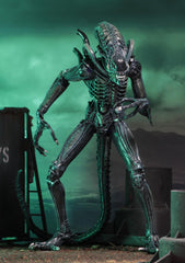 Aliens: Ultimate Aliens Warrior (1986) Blue 7" Scale Action Figure
