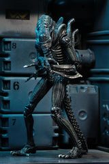 Aliens: Ultimate Aliens Warrior (1986) Blue 7" Scale Action Figure
