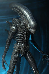 Alien: Big Chap 1/4 Scale Action Figure