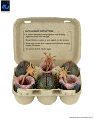 Aliens: 40th Anniversary 6 Pack Carton of Alien Eggs