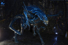 Aliens: 40th Anniversary Alien Queen Ultra Deluxe Boxed Figure