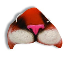 Orange Tiger Nose