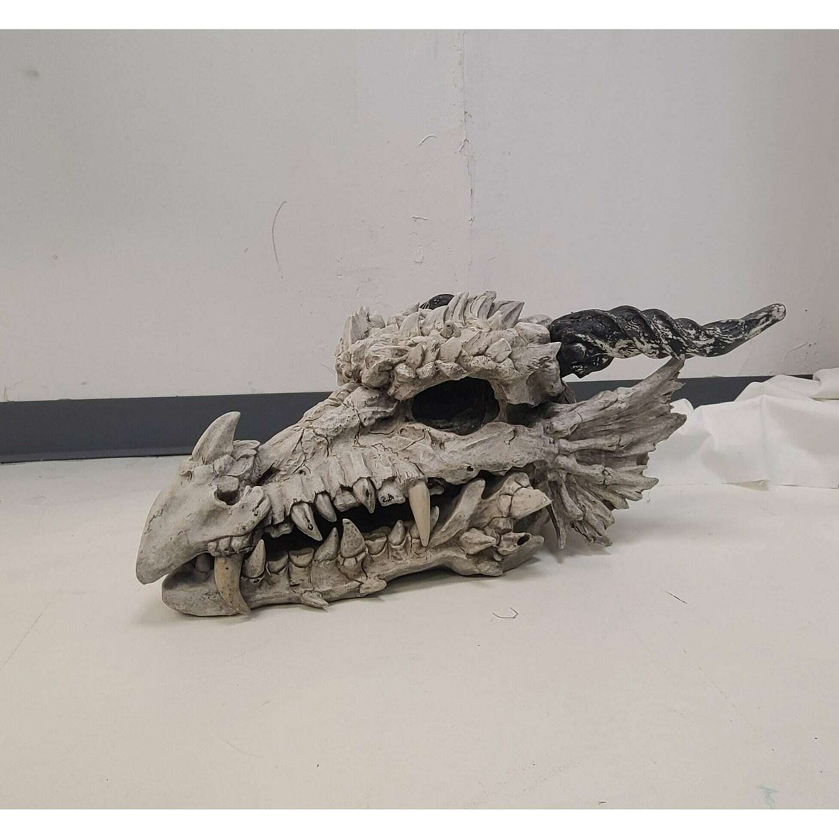 Used Aged Dragon Skull Prop