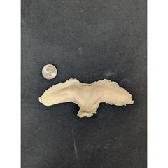 Vampire Brow Latex Prosthetic