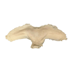 Vampire Brow Latex Prosthetic