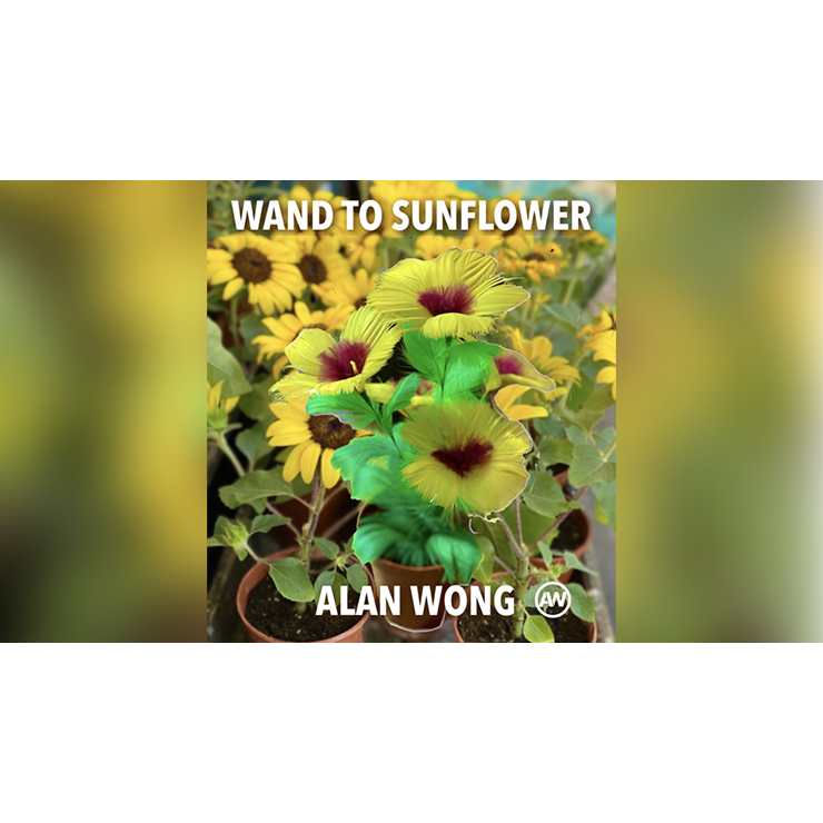 WAND TO SUNFLOWER LARGE by Alan Wong