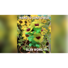 WAND TO SUNFLOWER LARGE by Alan Wong