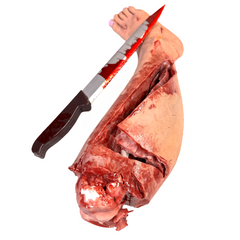 Severed Female Left Leg w/ Exposed Resin Bone