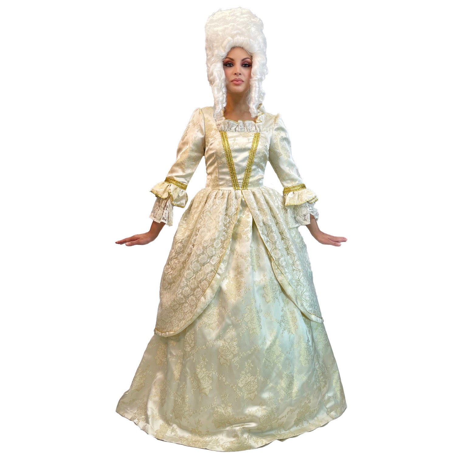 Colonial Lady Marie Antoinette Rump Dress Women's Adult Costume