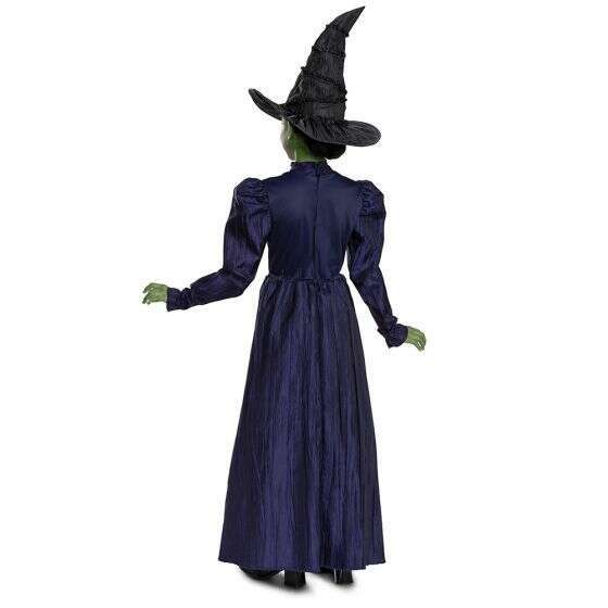 Elphaba Child Throwong Rocks Wicked: Deluxe Elphaba Child Costume – AbracadabraNYC