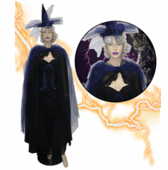 Zelda Fantasy Witch Adult Costume