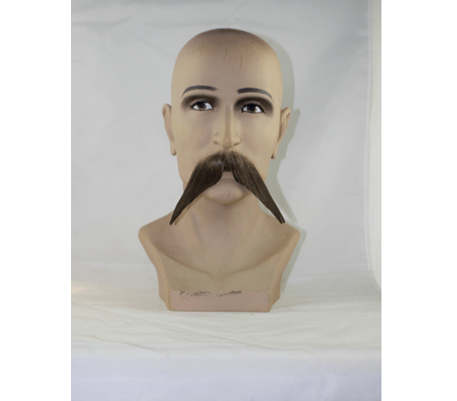 Walrus Moustache