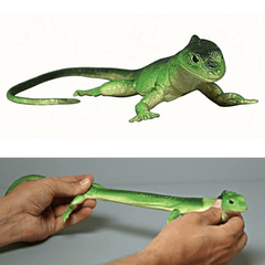 12” Stretchy Lizard Assorted