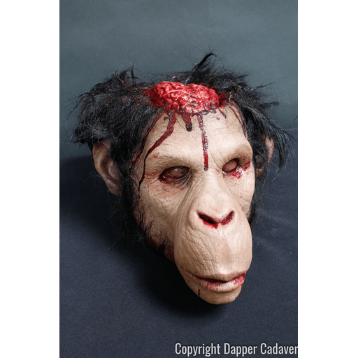 Monkey Brains Head – AbracadabraNYC