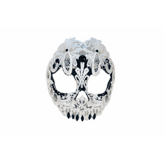 Lace Skull Mask