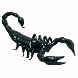8'' Black Scorpions