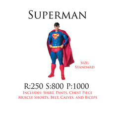 Collectors Foam Superman Adult Costume
