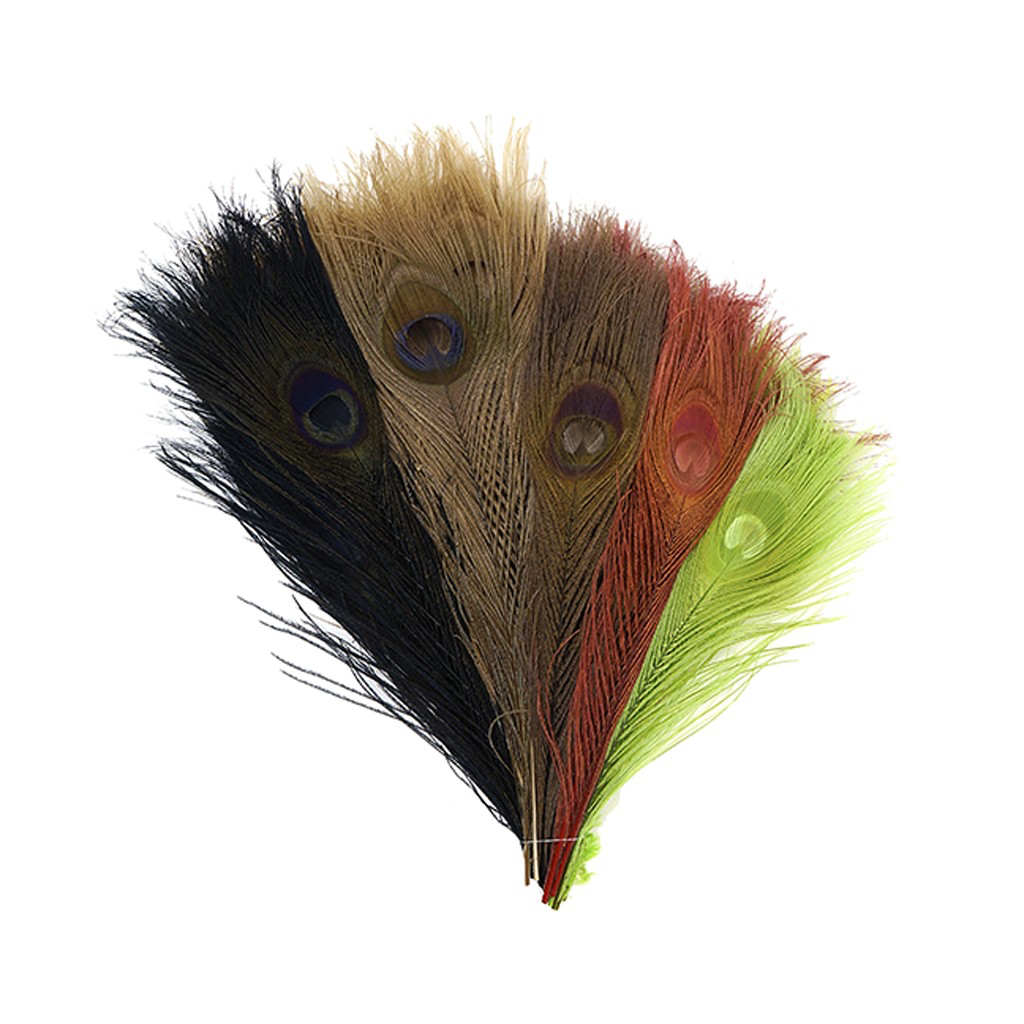 Assorted Dyed Peacock Feather