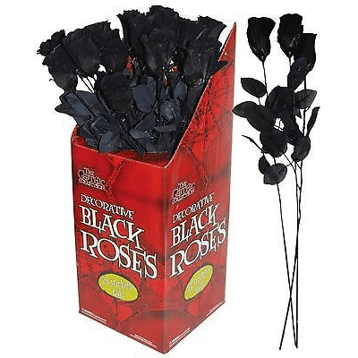 Black Rose with Black Stem