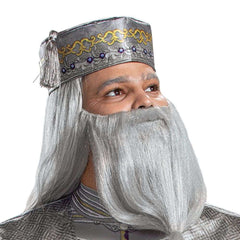 Deluxe Harry Potter Dumbledore Adult Costume