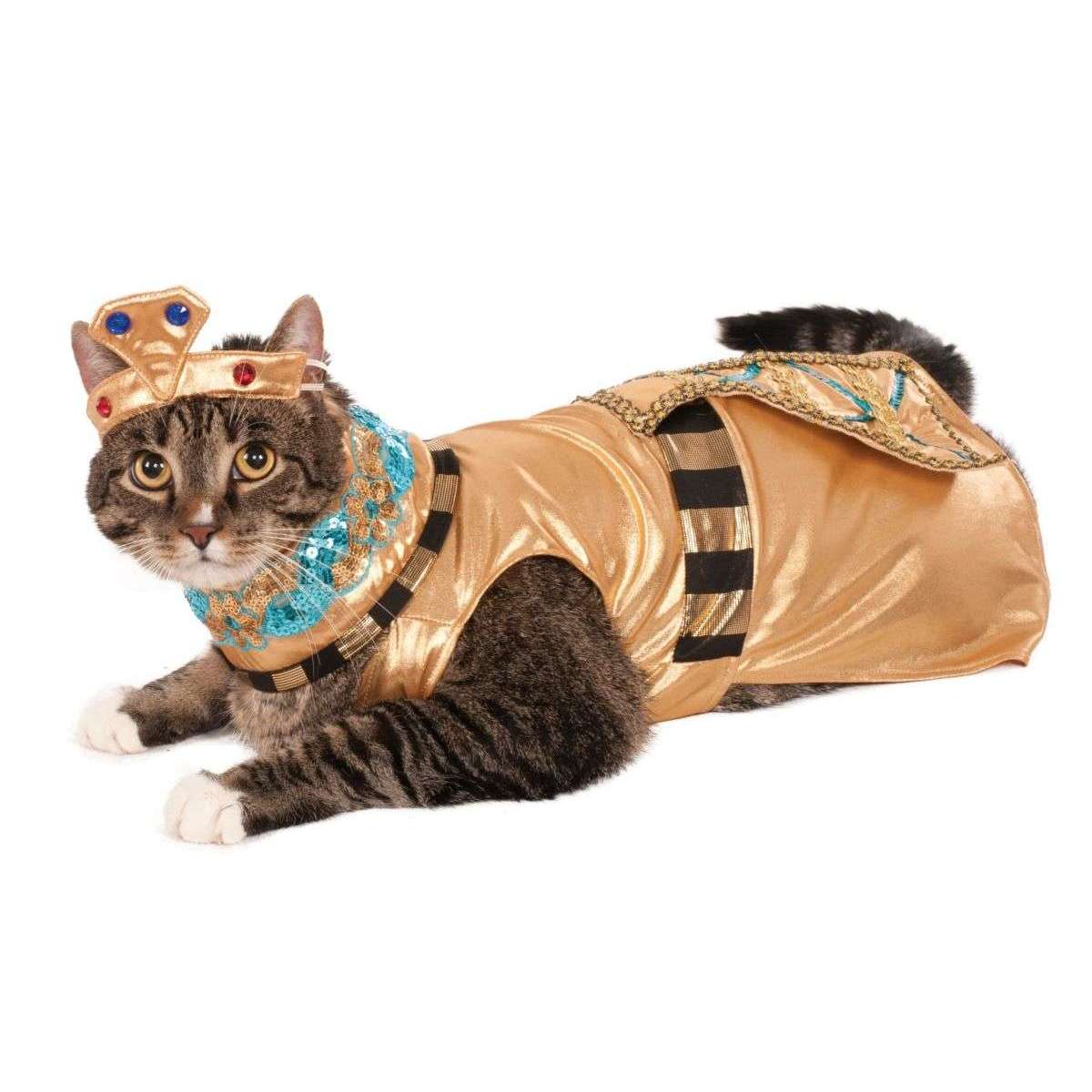 Cleopatra Pet Costume