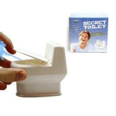 Secret Toilet