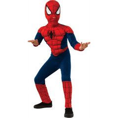 The Amazing Spiderman Child's Costume