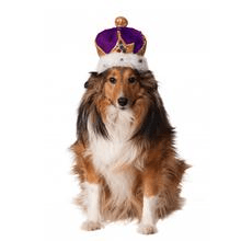 Mardi Gras King Crown for Pets