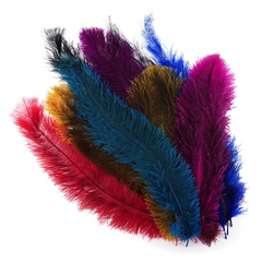 Ostrich Floss Style Assorted Feathers