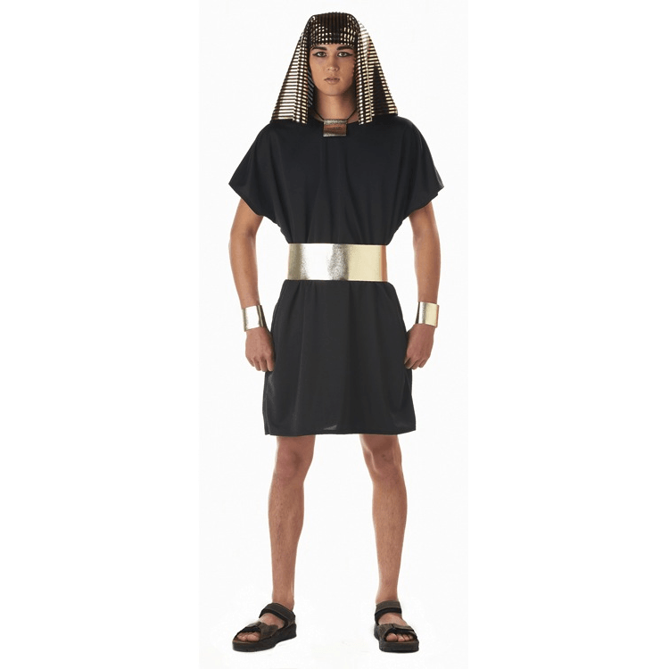 Classic Powerful Pharaoh  Adult Costume