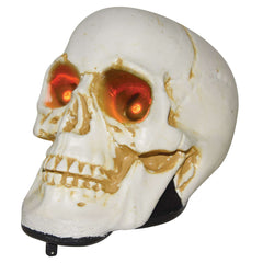 Realistic Walking Skull w/ LED Eyes