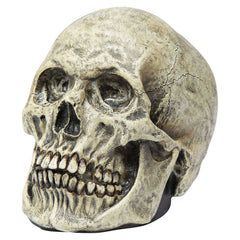 The Big Le-Bone-Ski Skull