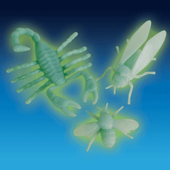 Glow in the Dark Insects