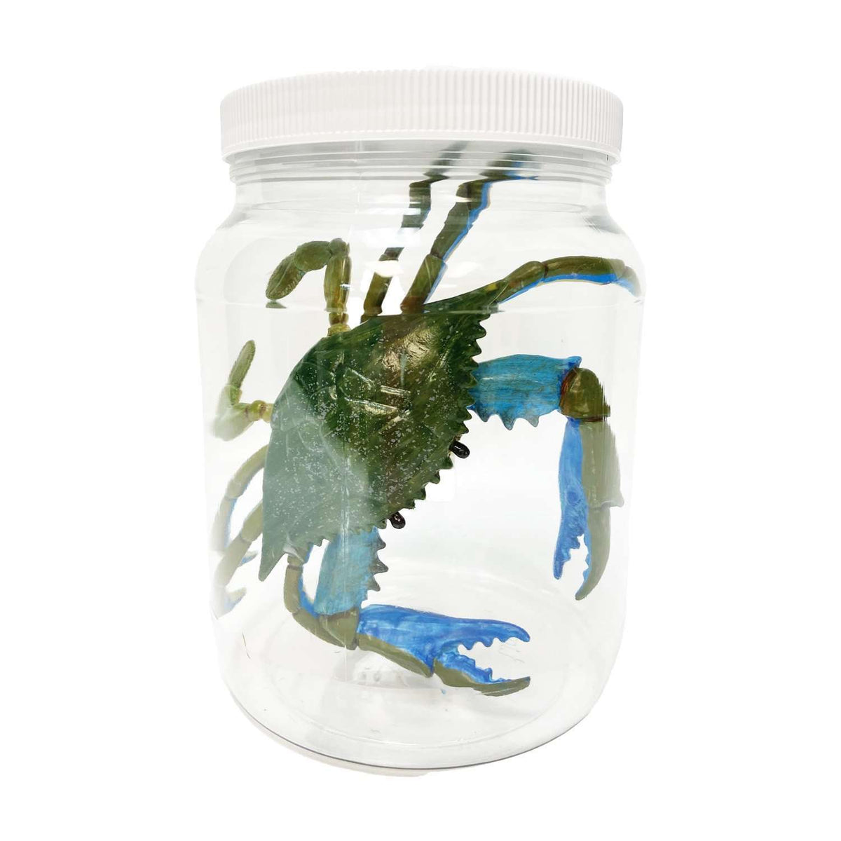Blue Crab Specimen Jar