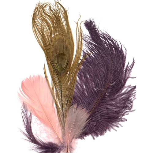 Ostrich, Hackle & Goose coquille Mixed Feather Package
