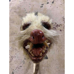 Roadkill Opossum Mask
