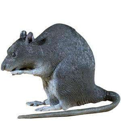 7" Standing Realistic Rat Prop