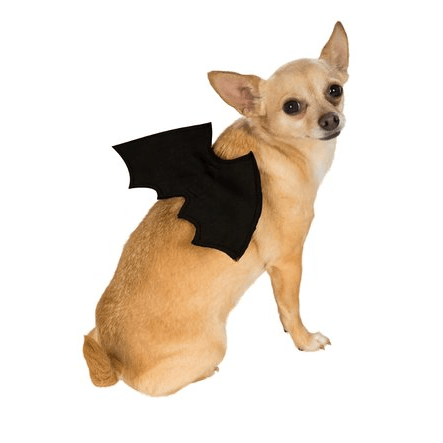 Black Bat Wing Pet Body Harness
