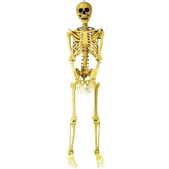 5' Pose & Hold Skeleton Decoration