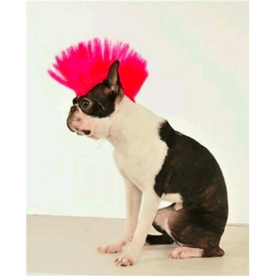 Electric Pink Mohawk Pet Wig